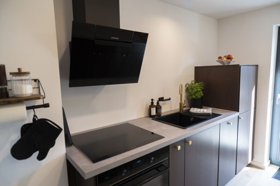 Induktionsherd Moderne Küche mit Kochfeld, Spüle, Kühlschrank und Pflanzen auf der Arbeitsplatte.